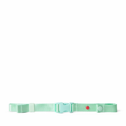 Detachable Chest Strap Mint / State Bags Great Value