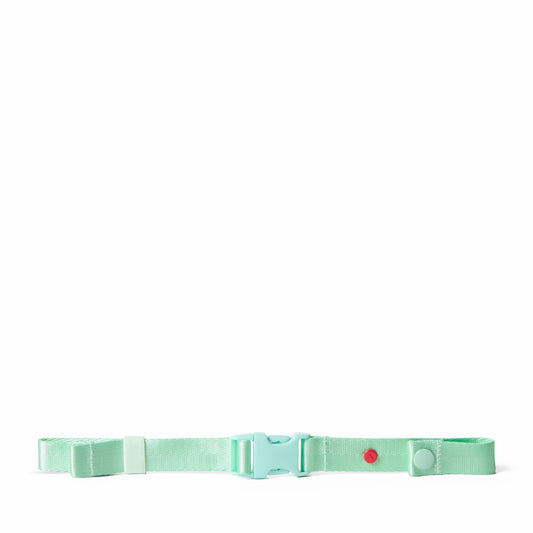 Detachable Chest Strap Mint / State Bags Great Value
